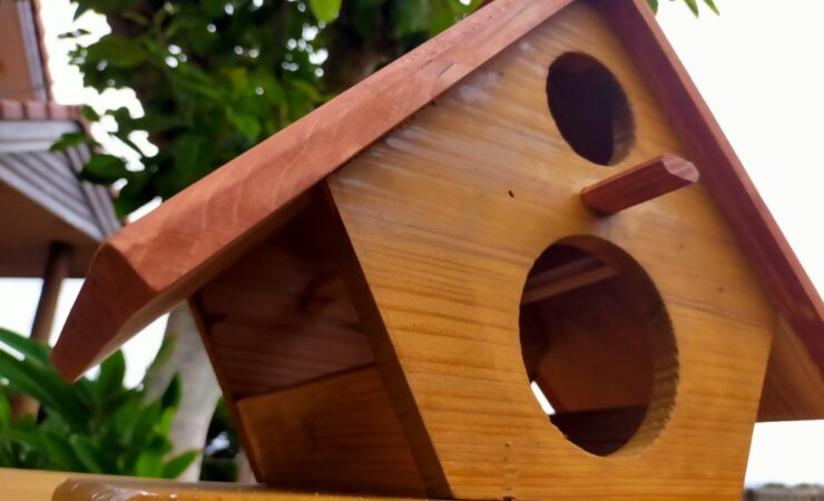 小鳥の巣箱