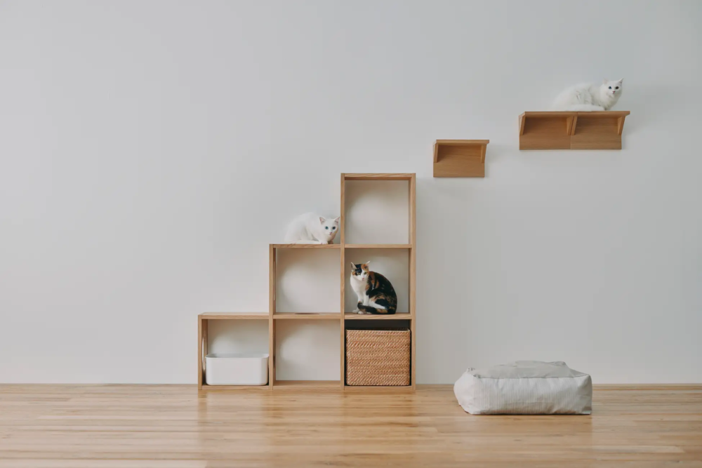 猫と快適な暮らしを目指すなら無印良品にGO！人との暮らしを考えた猫