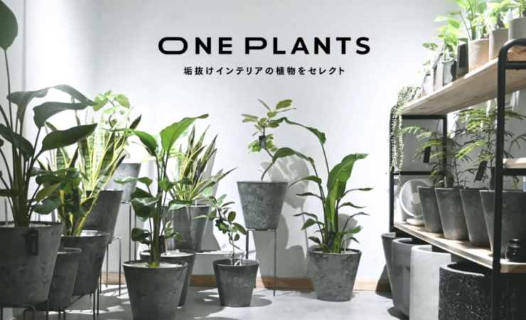 高品質な観葉植物が揃う無人販売所の最先端「ONE PLANTS」がオープン！