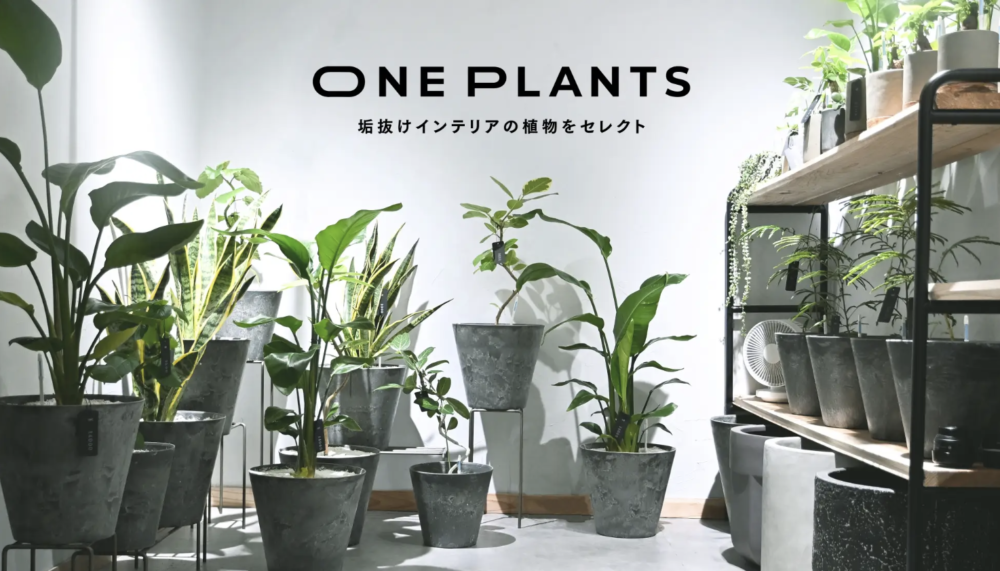 高品質な観葉植物が揃う無人販売所の最先端「ONE PLANTS」がオープン