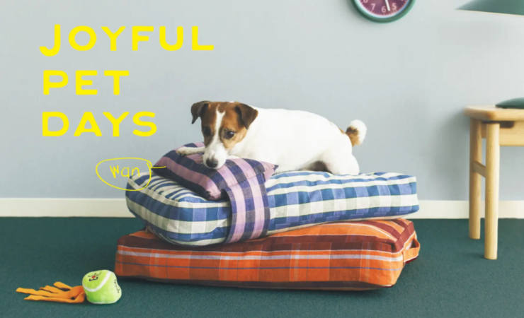 ひっかきに強いペット用クッションで“ニャン”てことない日々を“ワン”ダフルな生活に！